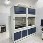 Acid-Resistant Fume Hood School Laboratories Chemical Gas Exhaust Laboratory Furniture
