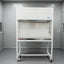 Class 100 Laminar Flow Hood