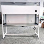 Class 100 Laminar Flow Hood