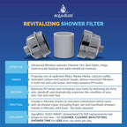 High Output Revitalizing Shower Filter