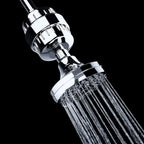 High Output Revitalizing Shower Filter