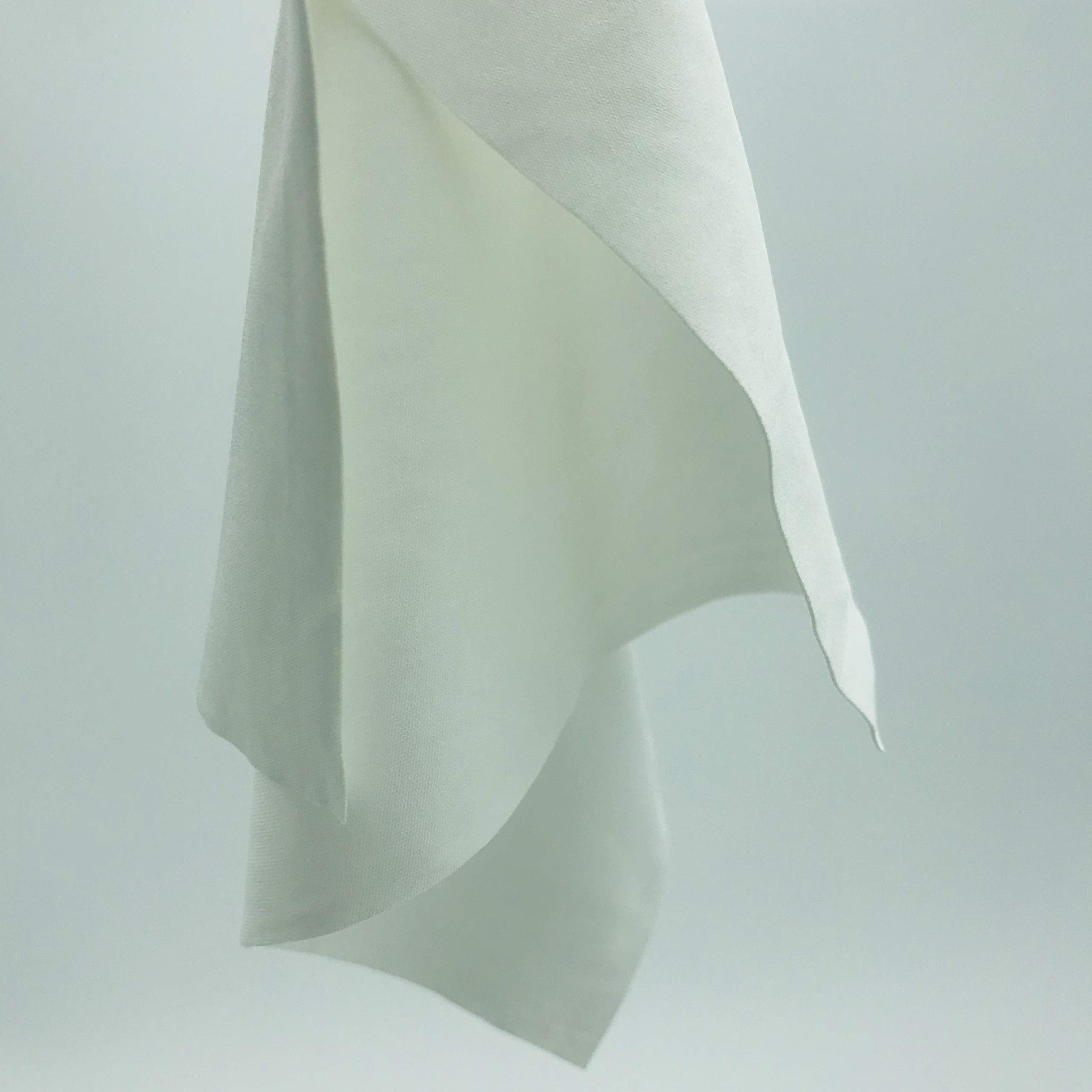 Biogreen Cleanroom Cloth Wipes 9"x9" (Bag of 150 Pcs) Double Knit 100% Polyester Wipers Lint Free Cloths with Ultra-fine Filaments, Laser Sealed Edge, Class 100 Cloths